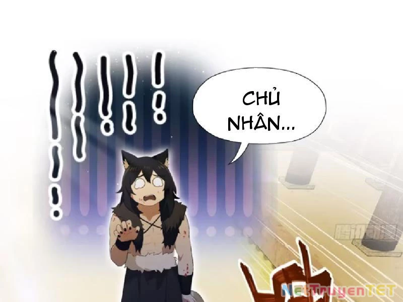 Hoá Ra Ta Đã Vô Địch Từ Lâu Chapter 235 - Trang 4