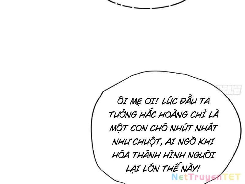 Hoá Ra Ta Đã Vô Địch Từ Lâu Chapter 235 - Trang 4