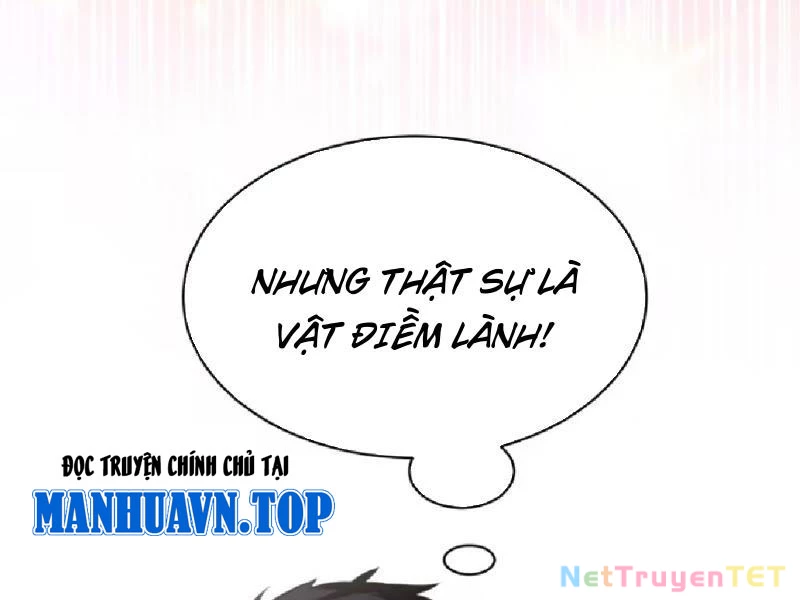 Hoá Ra Ta Đã Vô Địch Từ Lâu Chapter 235 - Trang 4