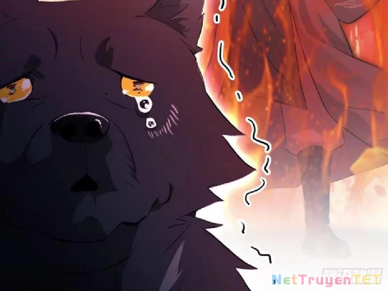 Hoá Ra Ta Đã Vô Địch Từ Lâu Chapter 235 - Trang 4
