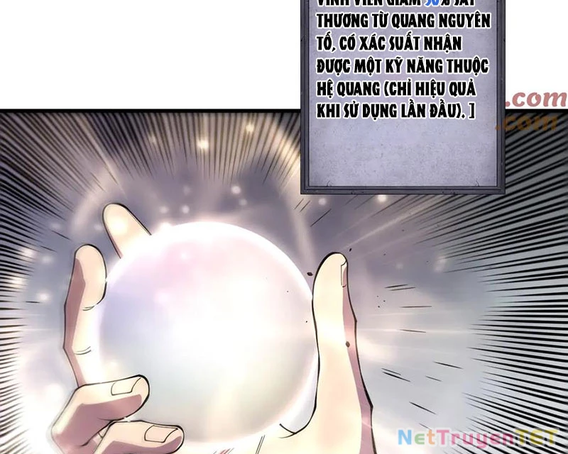 Thảm Họa Tử Linh Sư Chapter 150 - Trang 4