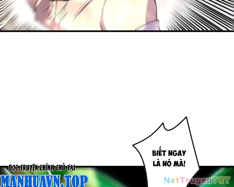 Thảm Họa Tử Linh Sư Chapter 150 - Trang 4