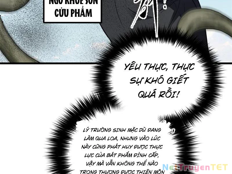 Toàn Cầu Cao Võ Chapter 295 - Trang 4