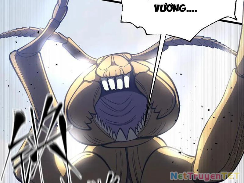 Toàn Cầu Cao Võ Chapter 295 - Trang 4