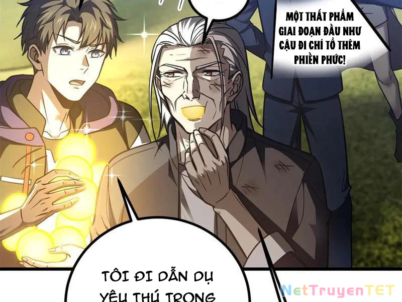 Toàn Cầu Cao Võ Chapter 295 - Trang 4