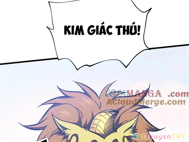 Toàn Cầu Cao Võ Chapter 295 - Trang 4