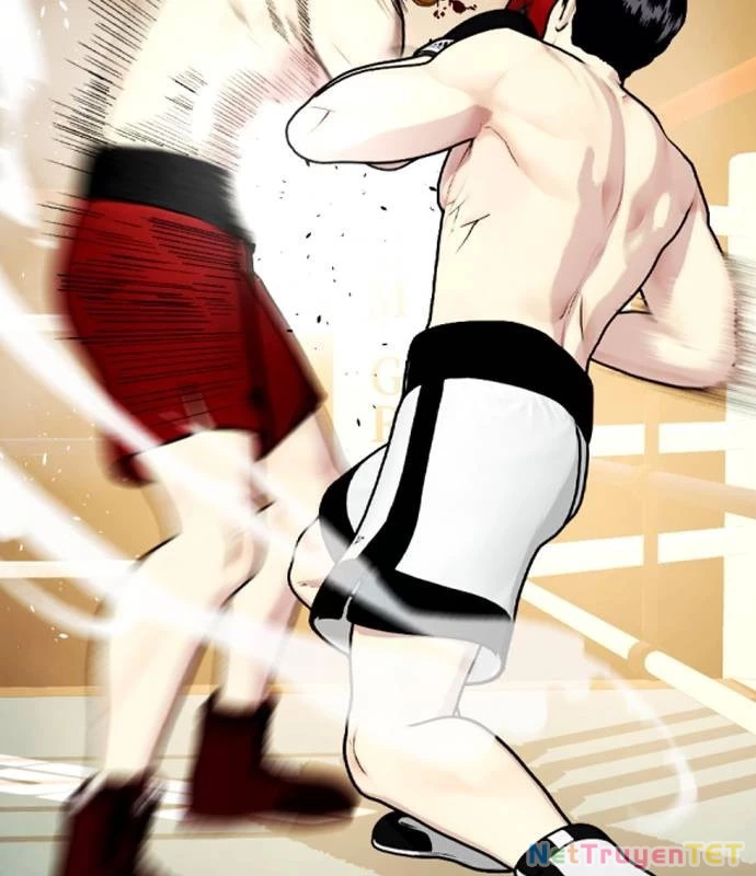 Loser Giỏi Võ Chapter 99 - Trang 4