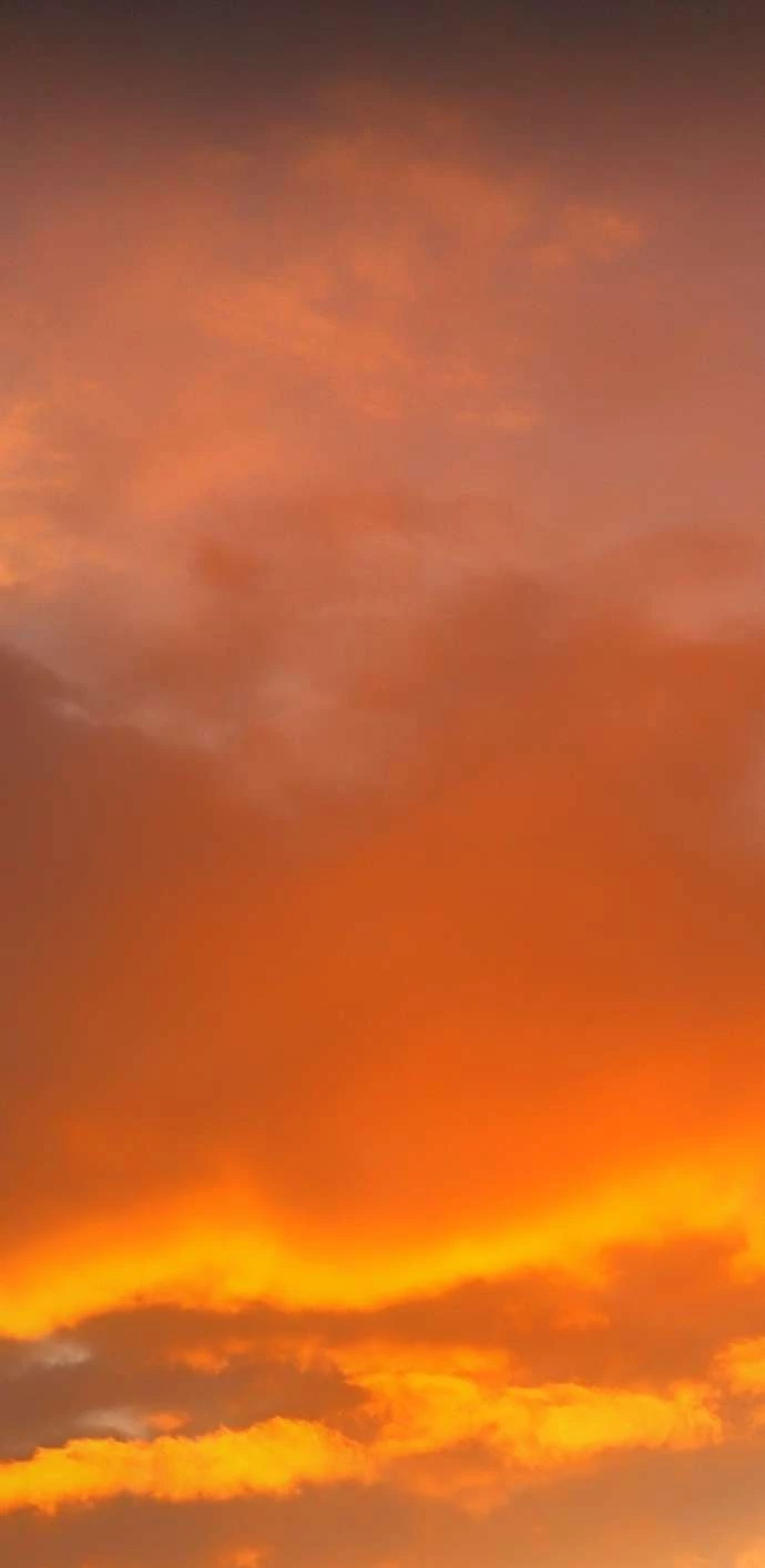 Lời Thú Nhận Của Chúa Tể Bóng Tối Chapter 114 - Trang 4