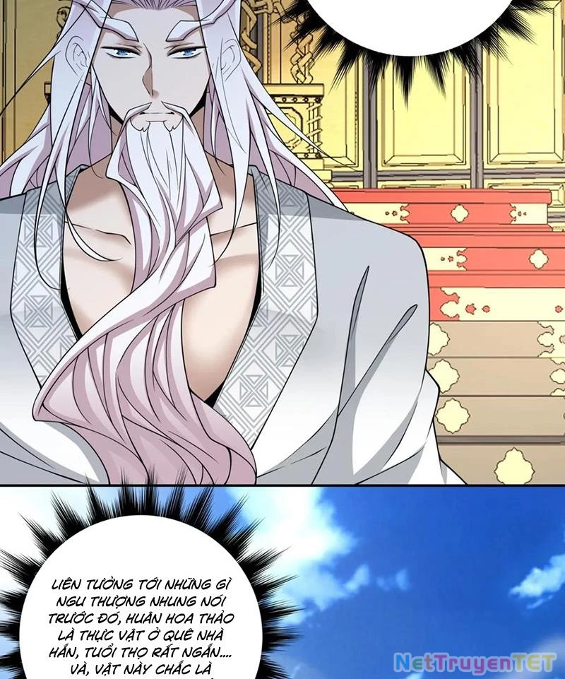 Đồ Đệ Của Ta Đều Là Đại Phản Phái Chapter 334 - Trang 4