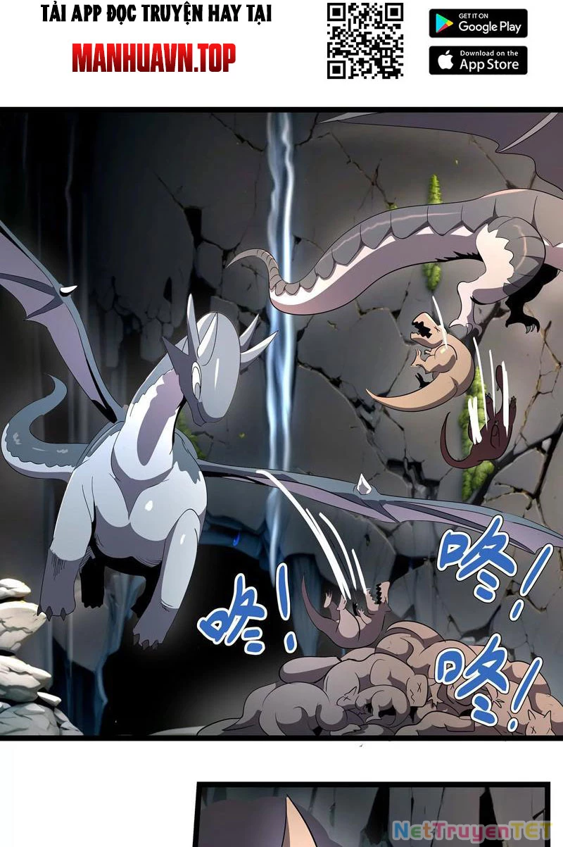 Bản Sao Của Tôi Là Trùng Vương Không Gian Chapter 4 - Trang 3