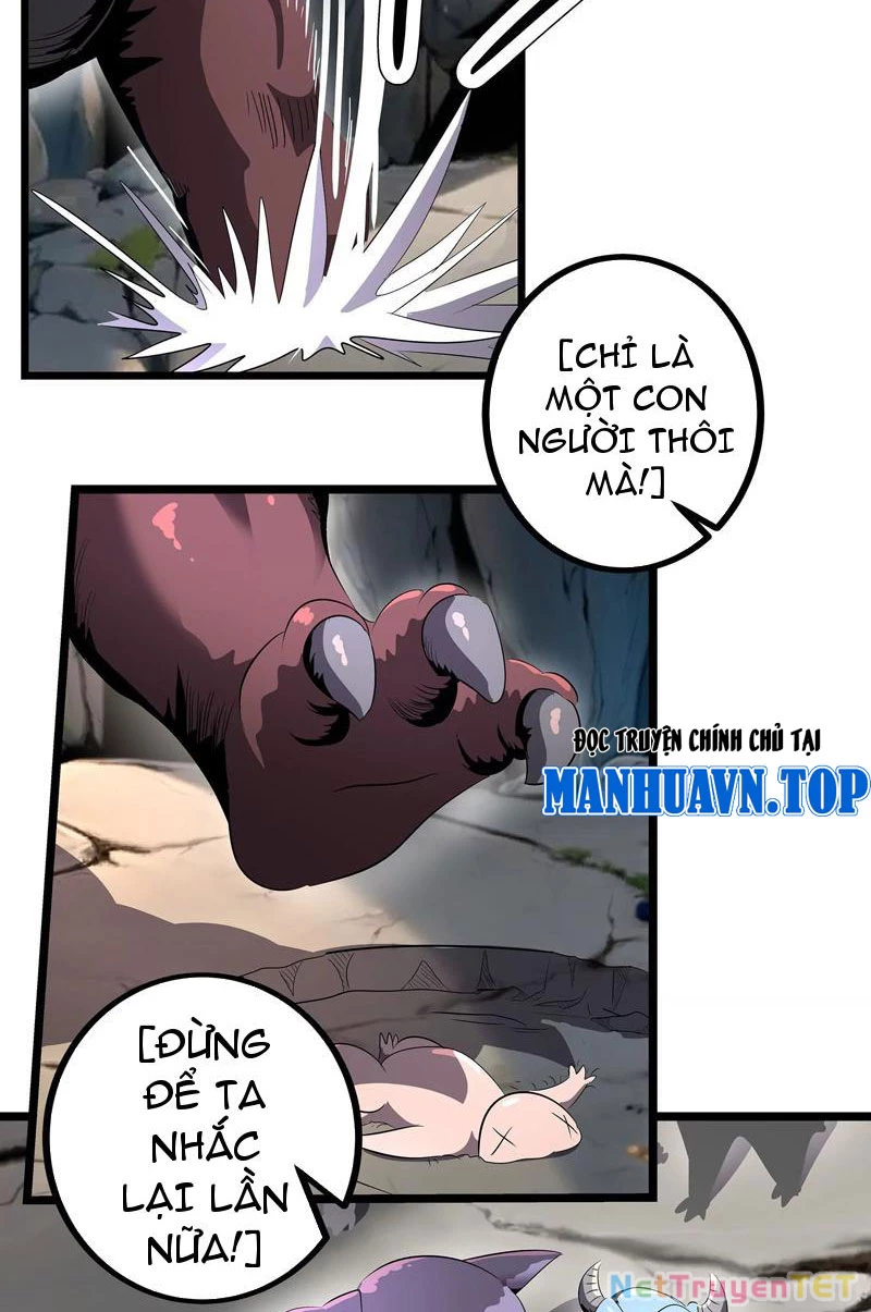 Bản Sao Của Tôi Là Trùng Vương Không Gian Chapter 4 - Trang 3