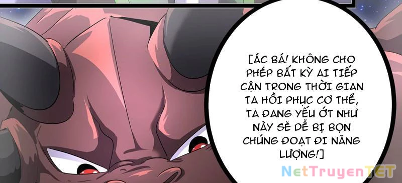 Bản Sao Của Tôi Là Trùng Vương Không Gian Chapter 4 - Trang 3