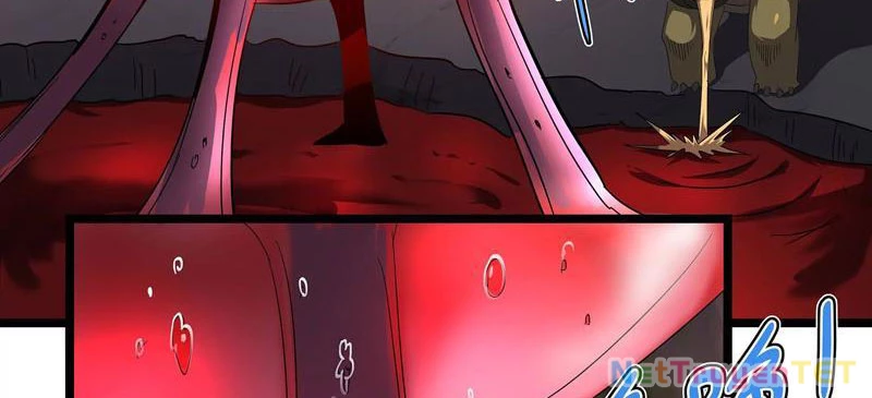 Bản Sao Của Tôi Là Trùng Vương Không Gian Chapter 4 - Trang 3