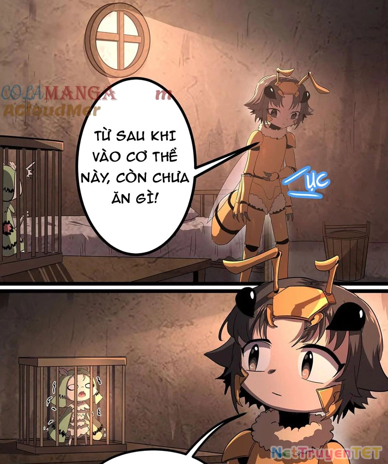 Bản Sao Của Tôi Là Trùng Vương Không Gian Chapter 5 - Trang 3