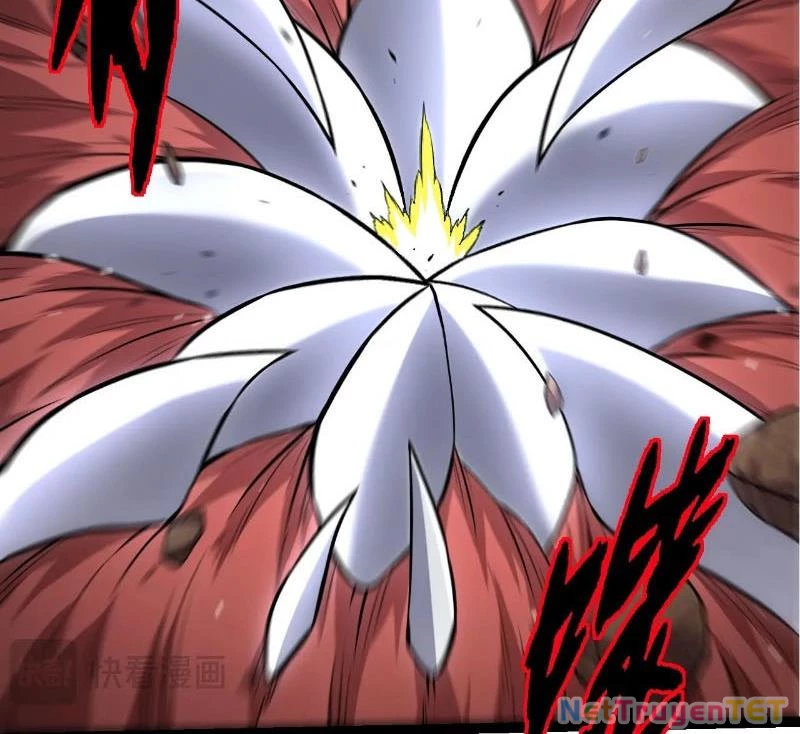 Chuyển Sinh Thành Liễu Đột Biến Chapter 324 - Trang 4