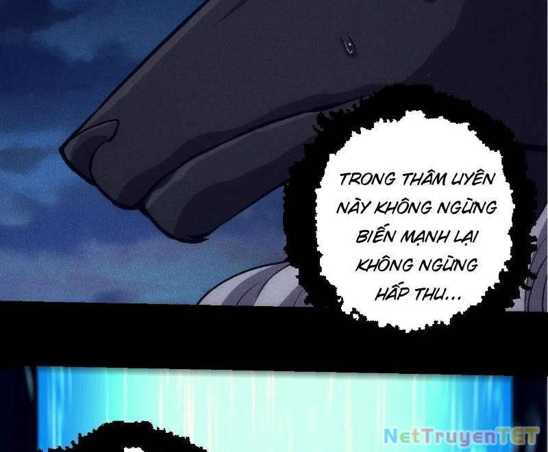 Chuyển Sinh Thành Liễu Đột Biến Chapter 324 - Trang 4