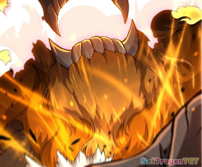 Chuyển Sinh Thành Liễu Đột Biến Chapter 324 - Trang 4
