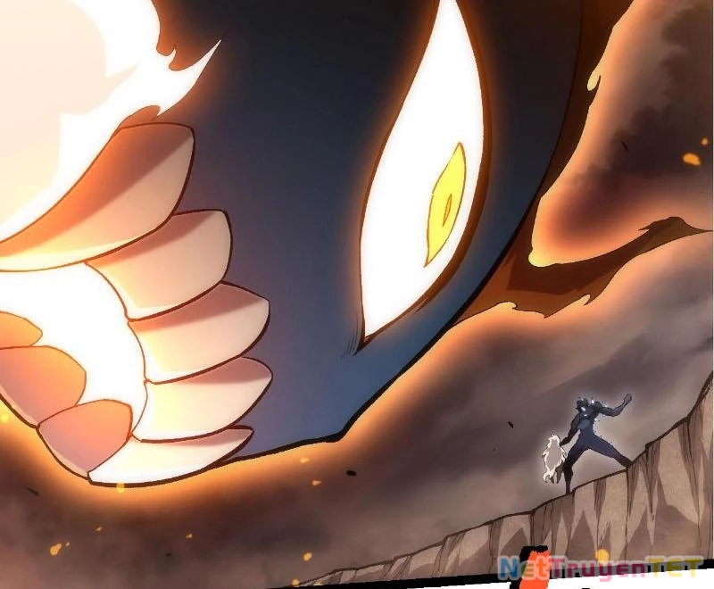 Chuyển Sinh Thành Liễu Đột Biến Chapter 324 - Trang 4