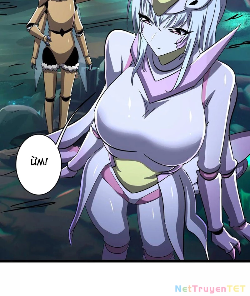Bản Sao Của Tôi Là Trùng Vương Không Gian Chapter 7 - Trang 2