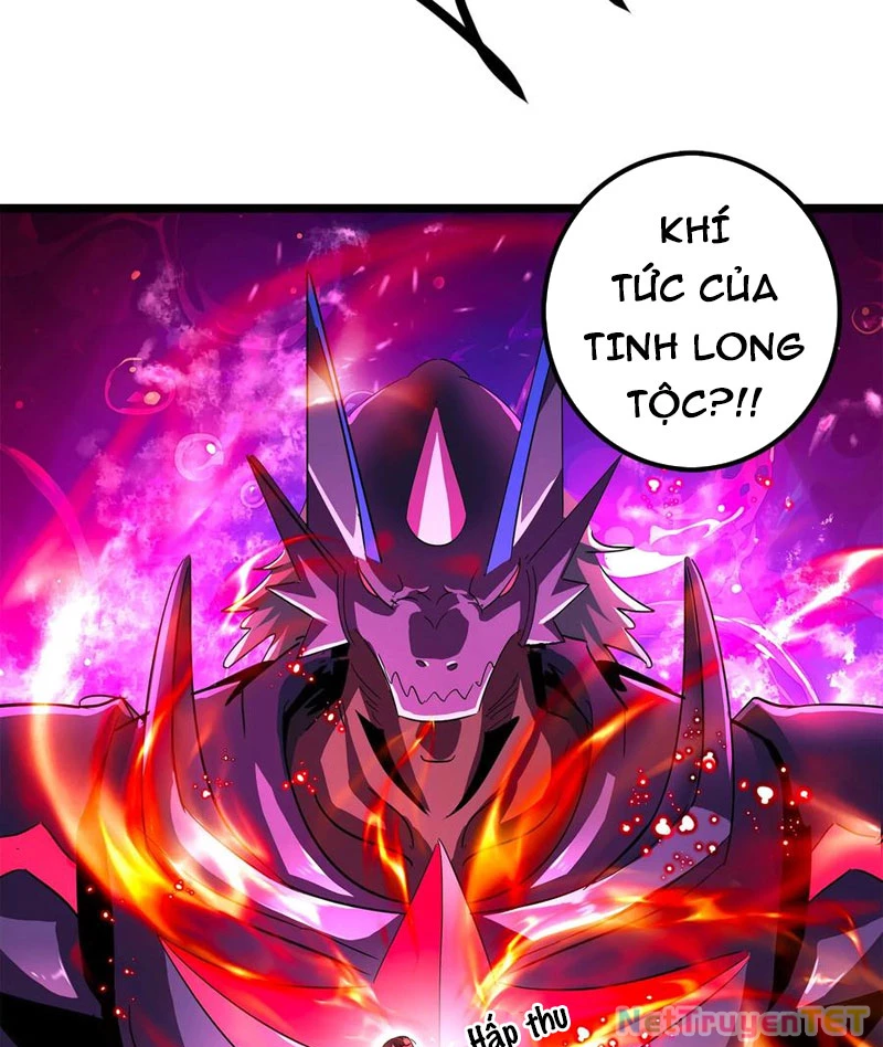 Bản Sao Của Tôi Là Trùng Vương Không Gian Chapter 10 - Trang 2