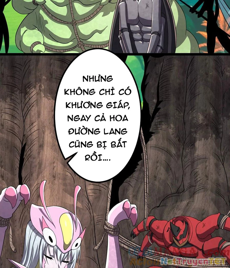 Bản Sao Của Tôi Là Trùng Vương Không Gian Chapter 11 - Trang 2