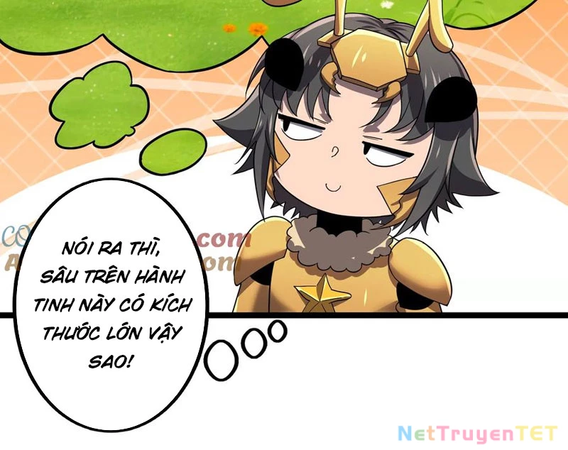 Bản Sao Của Tôi Là Trùng Vương Không Gian Chapter 12 - Trang 2
