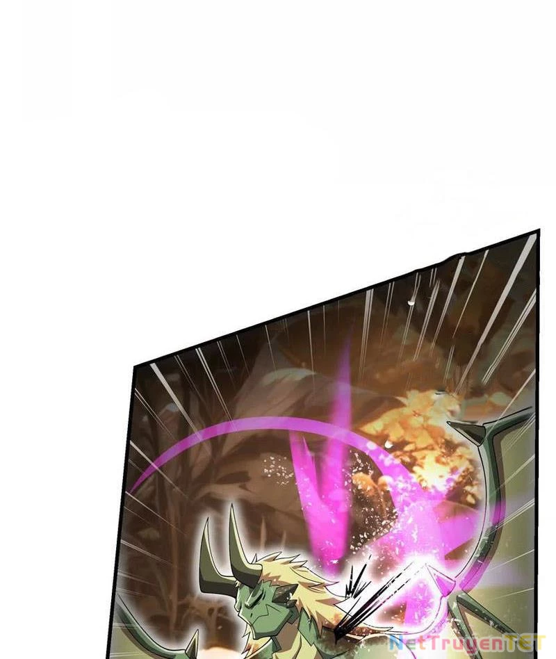Bản Sao Của Tôi Là Trùng Vương Không Gian Chapter 24 - Trang 2
