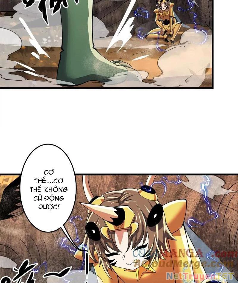 Bản Sao Của Tôi Là Trùng Vương Không Gian Chapter 24 - Trang 2
