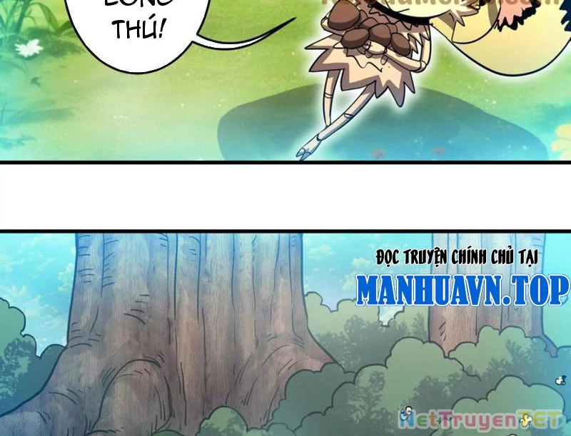 Bản Sao Của Tôi Là Trùng Vương Không Gian Chapter 31 - Trang 3