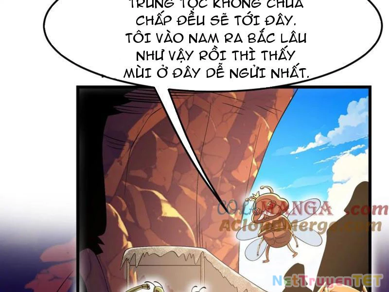 Bản Sao Của Tôi Là Trùng Vương Không Gian Chapter 32 - Trang 3