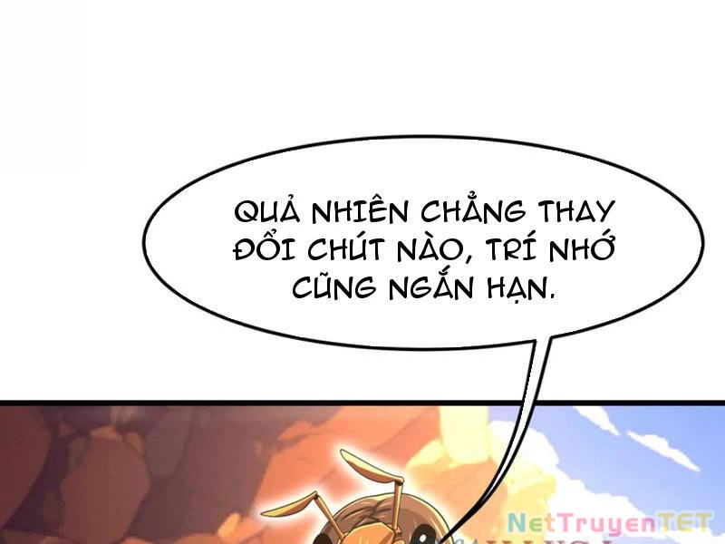 Bản Sao Của Tôi Là Trùng Vương Không Gian Chapter 32 - Trang 3
