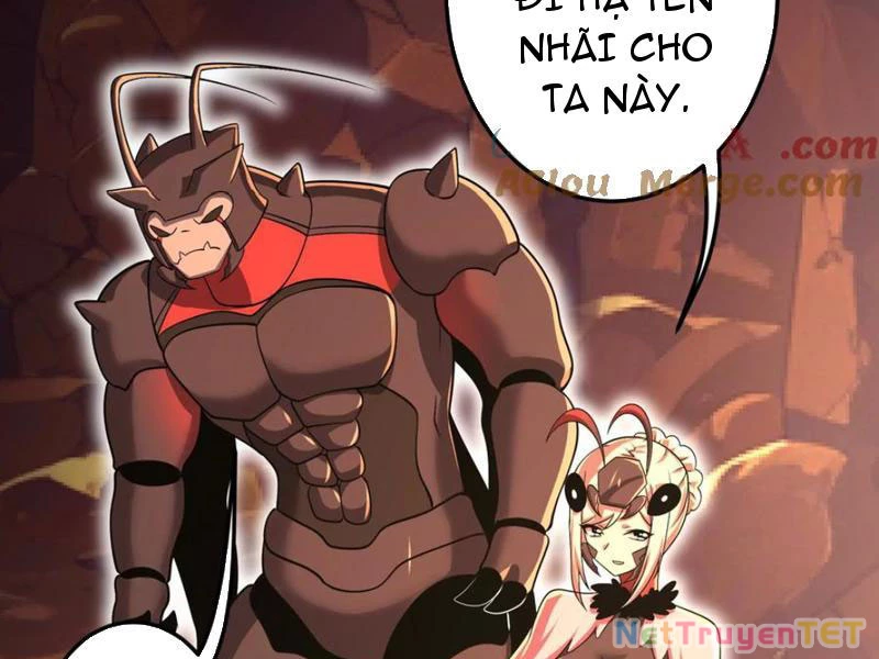 Bản Sao Của Tôi Là Trùng Vương Không Gian Chapter 32 - Trang 3