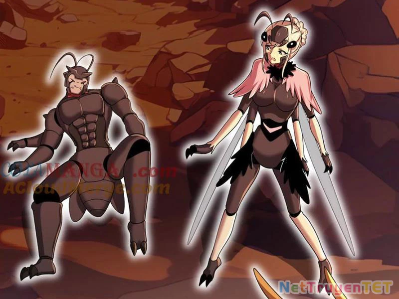 Bản Sao Của Tôi Là Trùng Vương Không Gian Chapter 32 - Trang 3