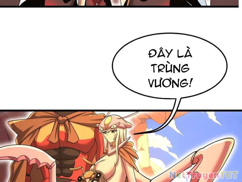 Bản Sao Của Tôi Là Trùng Vương Không Gian Chapter 32 - Trang 3