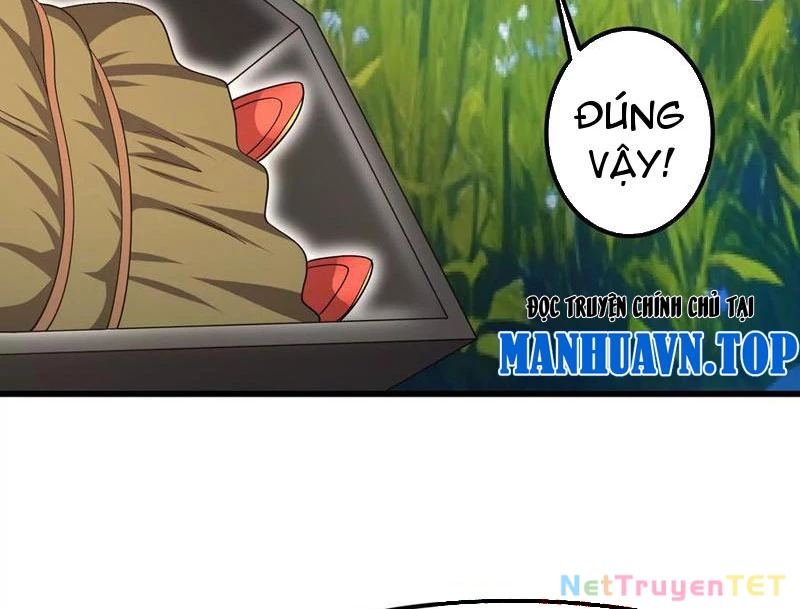 Bản Sao Của Tôi Là Trùng Vương Không Gian Chapter 35 - Trang 3