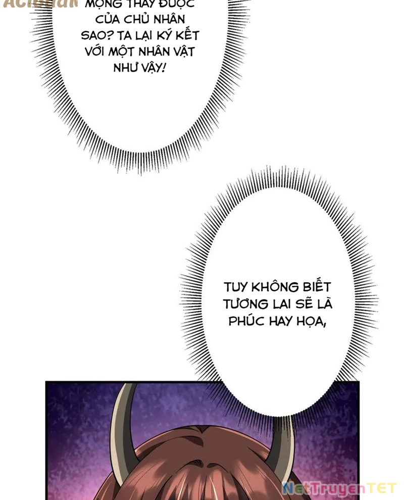 Bắt Đầu Với Trăm Vạn Minh Tệ Chapter 210 - Trang 4