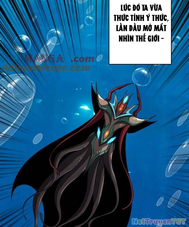 Vừa Chơi Đã Có Tài Khoản Vương Giả Chapter 502 - Trang 4