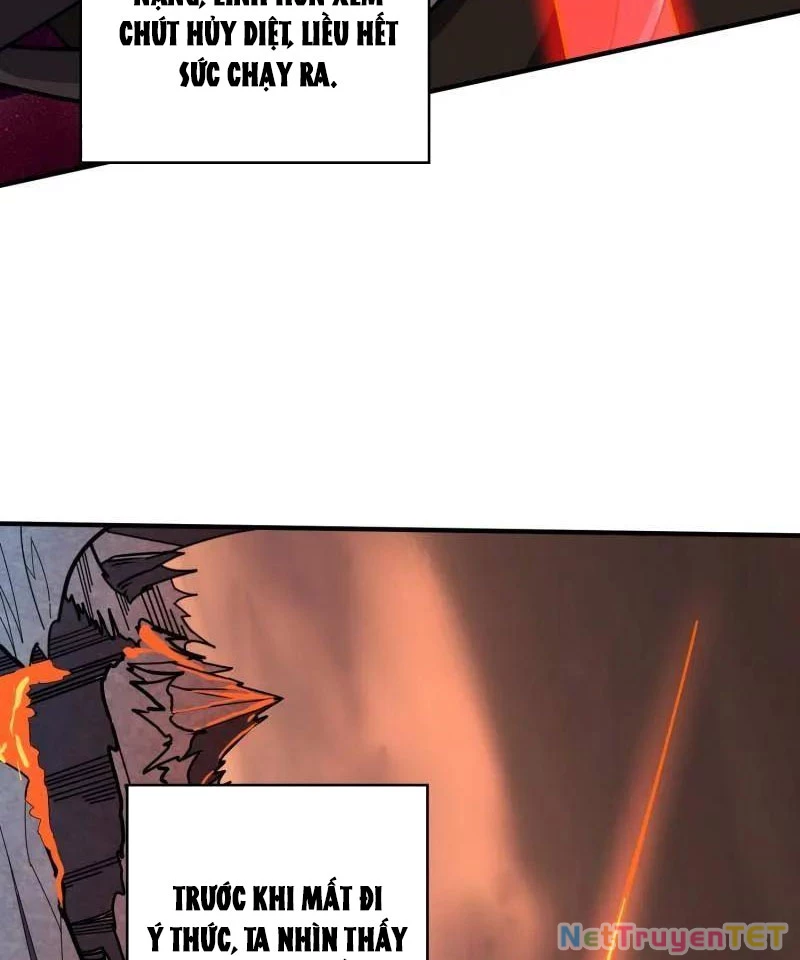 Vừa Chơi Đã Có Tài Khoản Vương Giả Chapter 502 - Trang 4