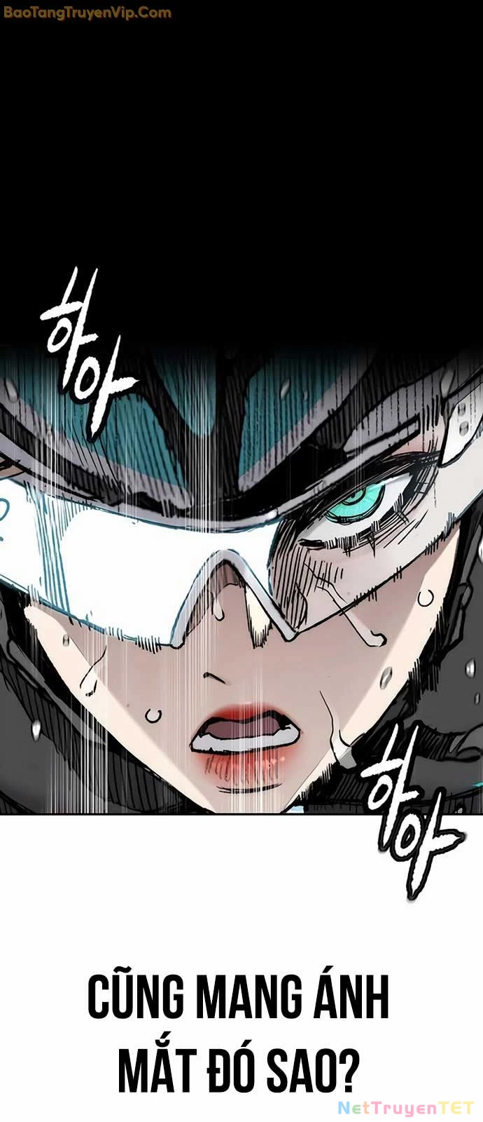 Thể Thao Cực Hạn Chapter 534 - Trang 4