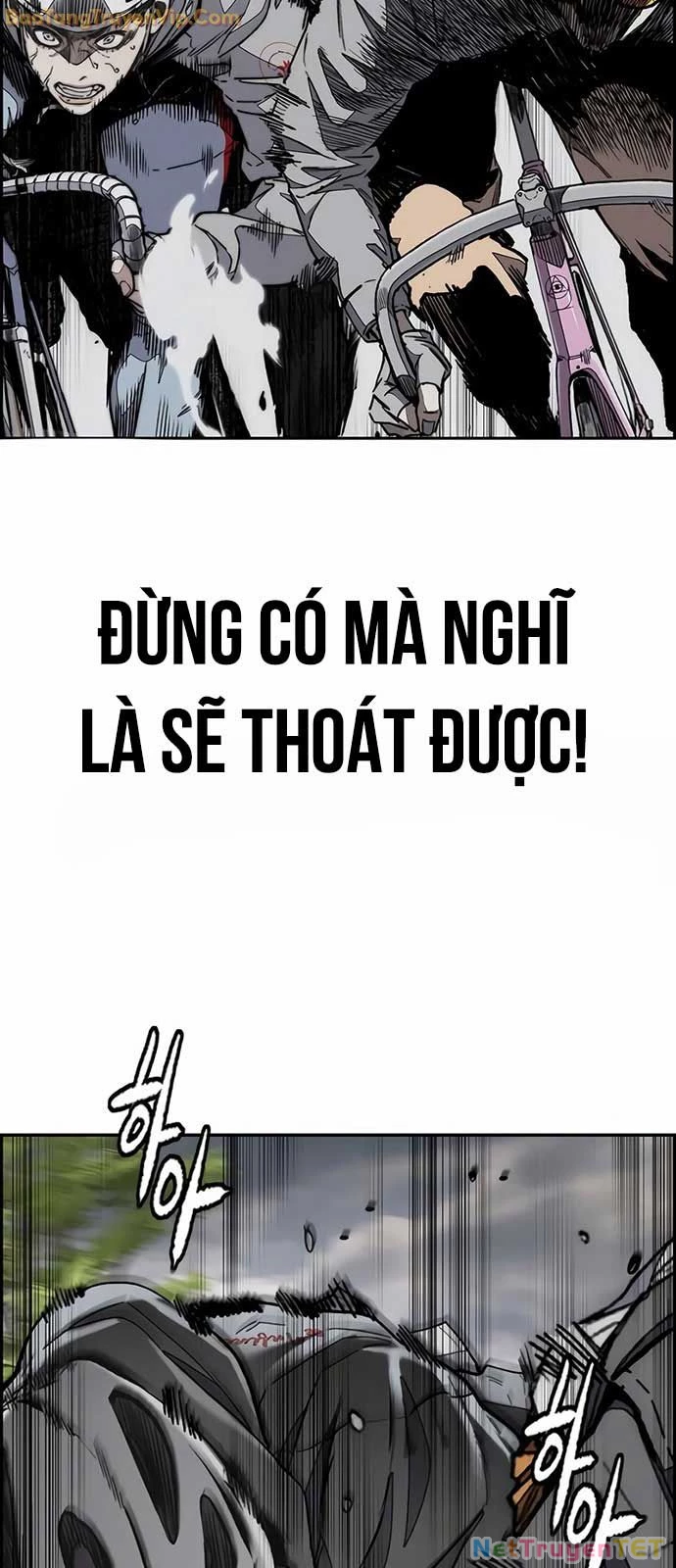 Thể Thao Cực Hạn Chapter 534 - Trang 4