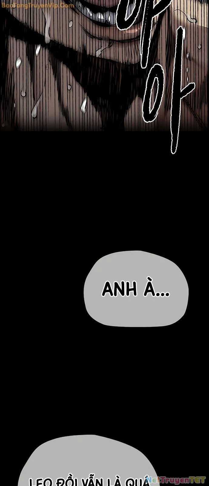 Thể Thao Cực Hạn Chapter 534 - Trang 4