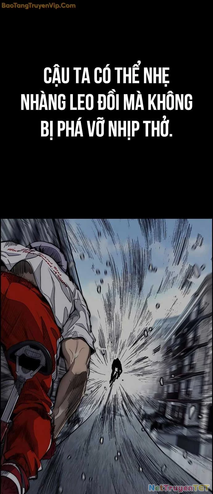 Thể Thao Cực Hạn Chapter 534 - Trang 4