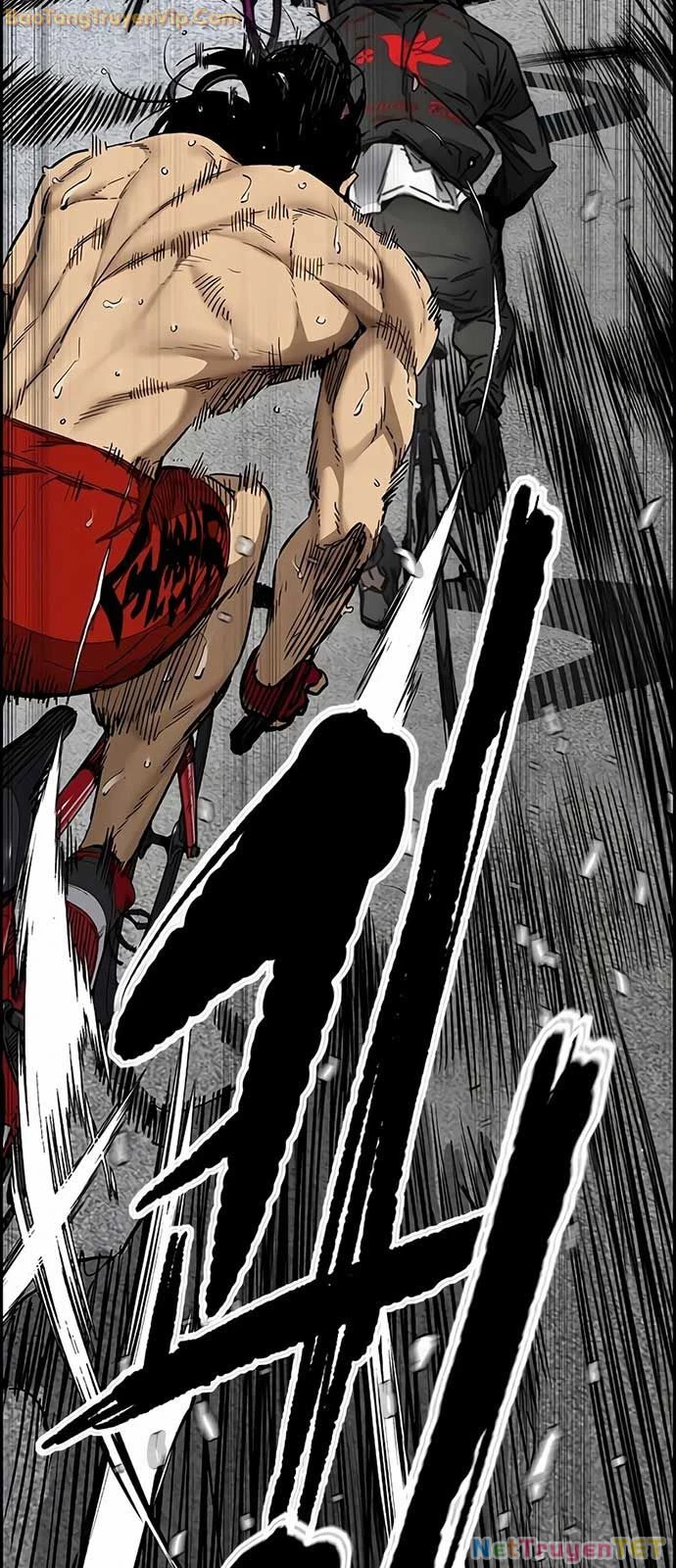 Thể Thao Cực Hạn Chapter 534 - Trang 4