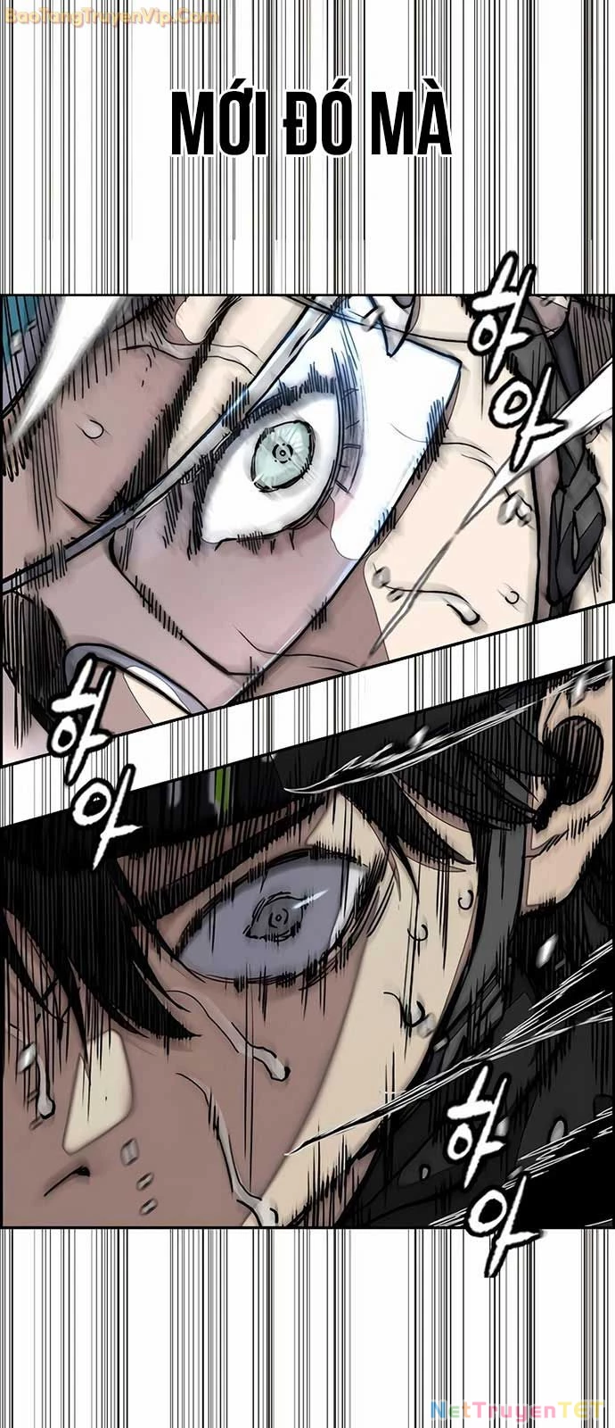 Thể Thao Cực Hạn Chapter 534 - Trang 4