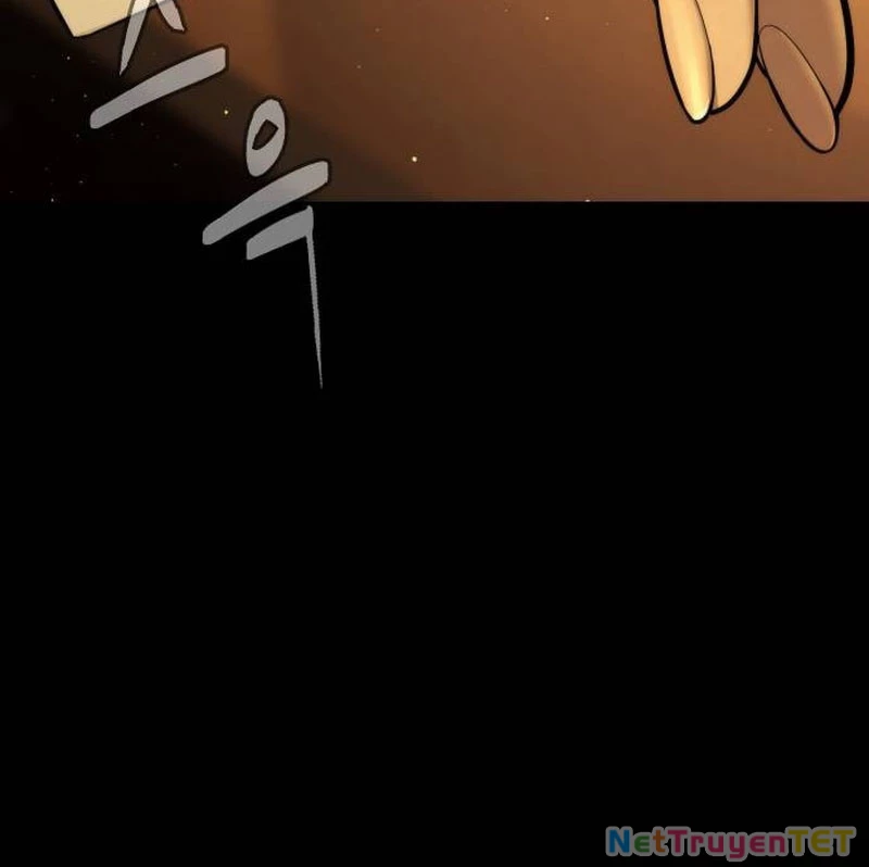 Sát Thủ Peter Chapter 77 - Next Chapter 78