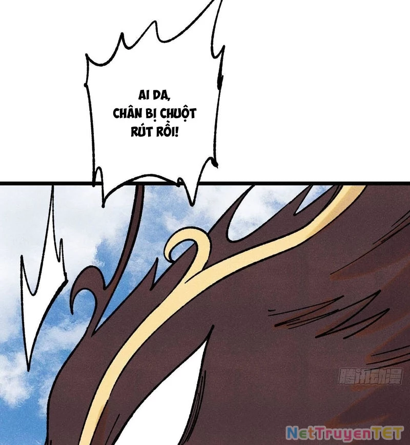 Vạn Cổ Tối Cường Tông Chapter 394 - Trang 4