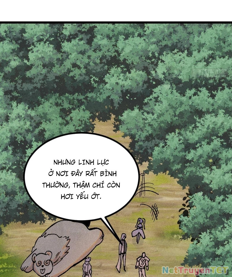 Vạn Cổ Tối Cường Tông Chapter 394 - Trang 4