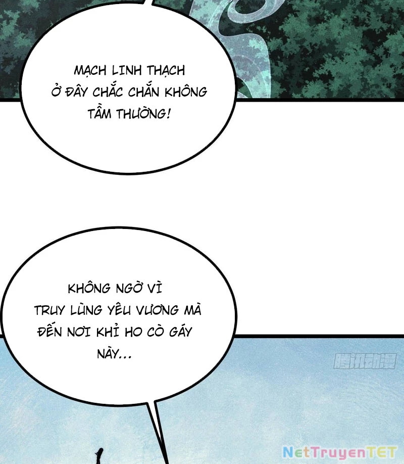Vạn Cổ Tối Cường Tông Chapter 394 - Trang 4
