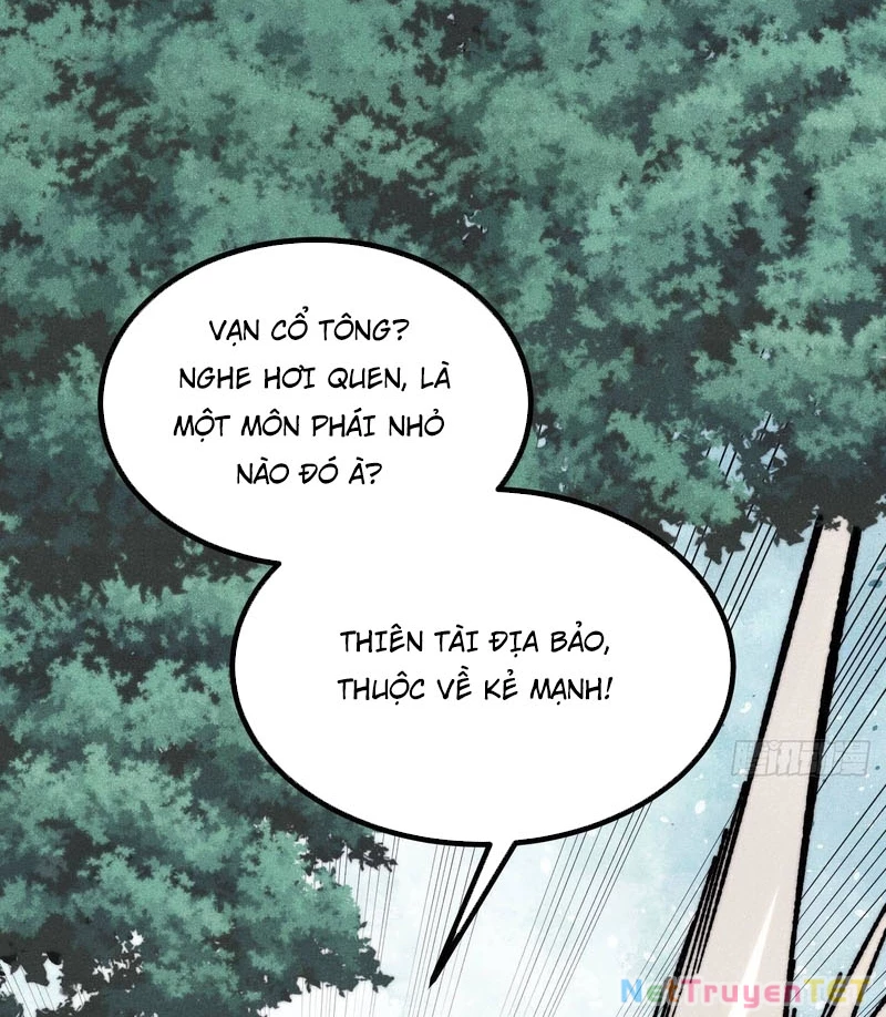 Vạn Cổ Tối Cường Tông Chapter 394 - Trang 4