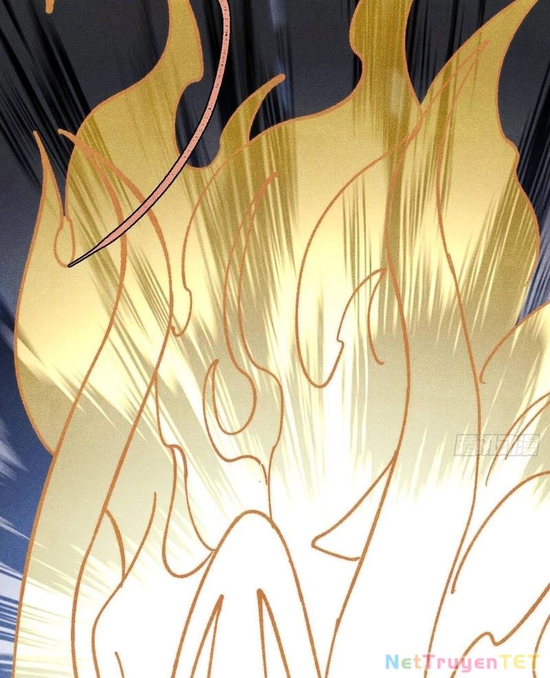 Vạn Cổ Tối Cường Tông Chapter 394 - Trang 4